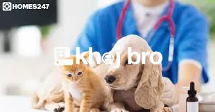   Advanced Cat Medical Centers Offering Laboratory and Pathology Facil