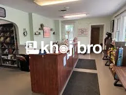   Cat Healthcare Clinics Delivering Senior Feline Care and Monitoring 