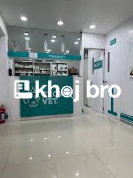   Cat Immunization Centers With Proven Vaccination Records For Safety