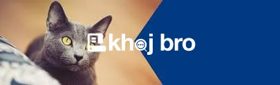   Cat Preventive Healthcare Clinics Supporting Spay, Neuter and Deworm