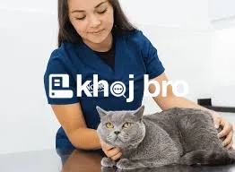   Dedicated Veterinary Professionals Managing Modern Cat Health Facili