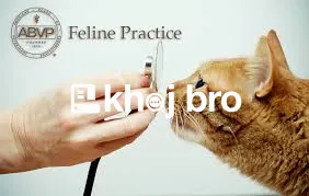   Cat Preventive Care Plans Integrated With Affordable Clinic Membersh