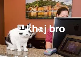   Cat Health Clinics With Specialized Pet Counseling And Grooming Serv