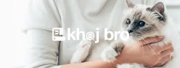   Pet Wellness Centers Dedicated Entirely To Feline Healthcare Every D