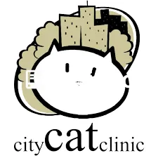   Specialized Cat Care Clinics Known For Compassionate and Latest Tech