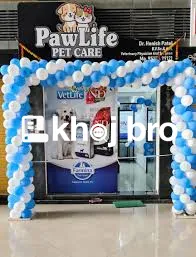   Best Dog Clinics Offering 24/7 Emergency Pet Care and Health Checkup