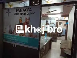   Experienced Dog Clinics for Puppies and Adult Dogs with Expert Vets