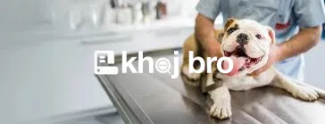   Expert Dog Clinics for Annual Health Exams, Grooming, and Pet Nutrit