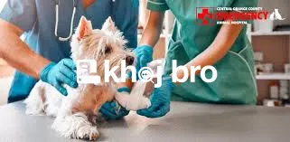   Affordable Dog Clinics With Qualified Veterinary Surgeons and Doctor