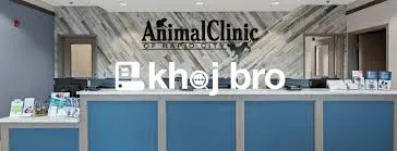   Highly Skilled Veterinary Doctors Available at Leading Dog Clinics