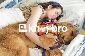   Dog Clinics for Annual Vaccinations, Deworming, and Timely Treatment