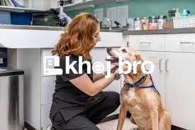   Professional Dog Clinics Offering Advanced Healthcare Facilities Nea
