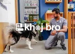   Veterinarian Dog Clinics Equipped With Modern Surgical Care Techniqu