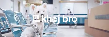   Dog Clinics Dedicated to Puppy Vaccinations, Surgery, and Pet Groomi