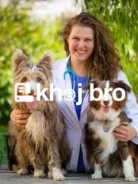   Emergency Dog Health Solutions Available at Trusted Veterinary Clini