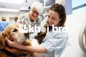   Book Urgent Dog Clinic Visits Anytime for Pet Emergency Care Needs