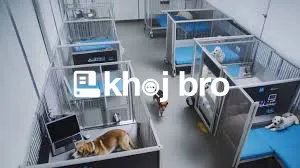   Specialized Puppy Clinics Dedicated to Complete Growth and Developme