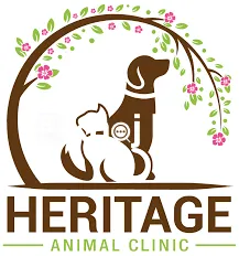   Affordable Dog Clinics for Neutering, Vaccination, and Full Pet Care