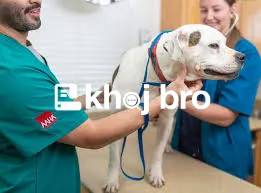   Book 24-Hour Dog Clinics Close to You for Quick Treatment and Health