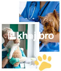   Find Dog Clinics Providing Around-the-Clock Grooming and Health Chec