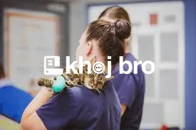   Dog Clinics Trusted by Families to Deliver Gentle Care and Loving Gr