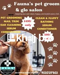   Full-Service Veterinary Dog Clinics Designed for Professional Pet Ow