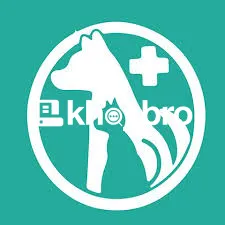   Affordable Dog Clinics With Skilled Groomers and Dog Nutrition Exper