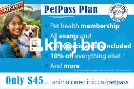   Dog Clinics With Health Specialists Always Ready for Puppy Consultat