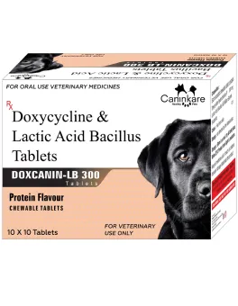 Doxcanin-LB – 300mg For Dogs - CaninKare